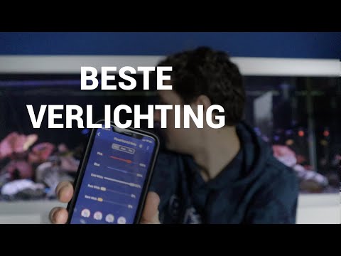 Video: De beste aquariumlampen: beoordeling en beoordelingen van fabrikanten