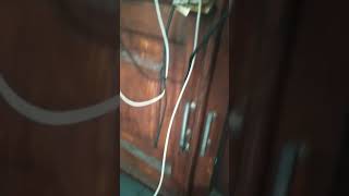 Cas Hp Bisa Menghangatkan Kucing ❓❓