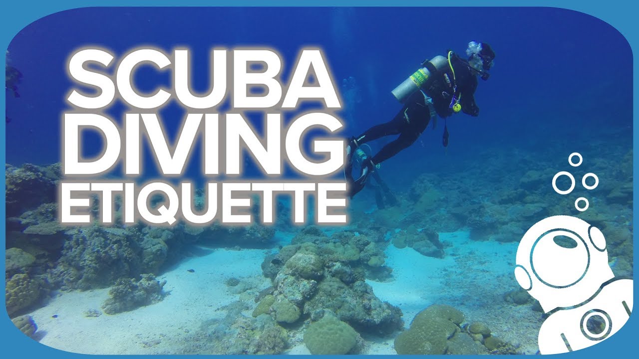 Scuba Diving Etiquette YouTube