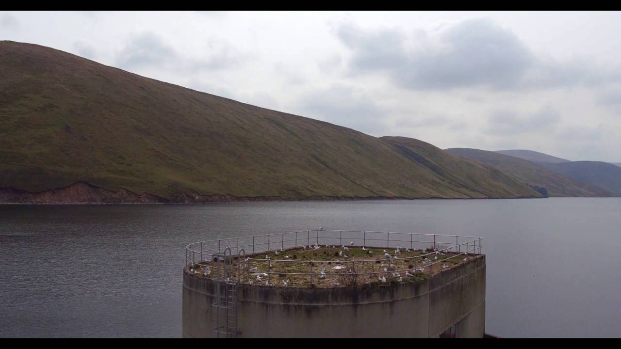 Megget Reservoir