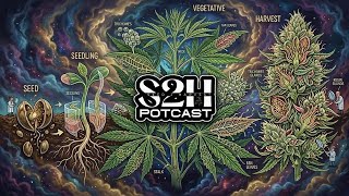 S2H Potcast | Season 5 | Seed 2 Harvest