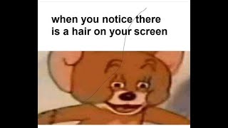#funnymeme #funnymemes   -  Hair on your Screen   funny memes Daily