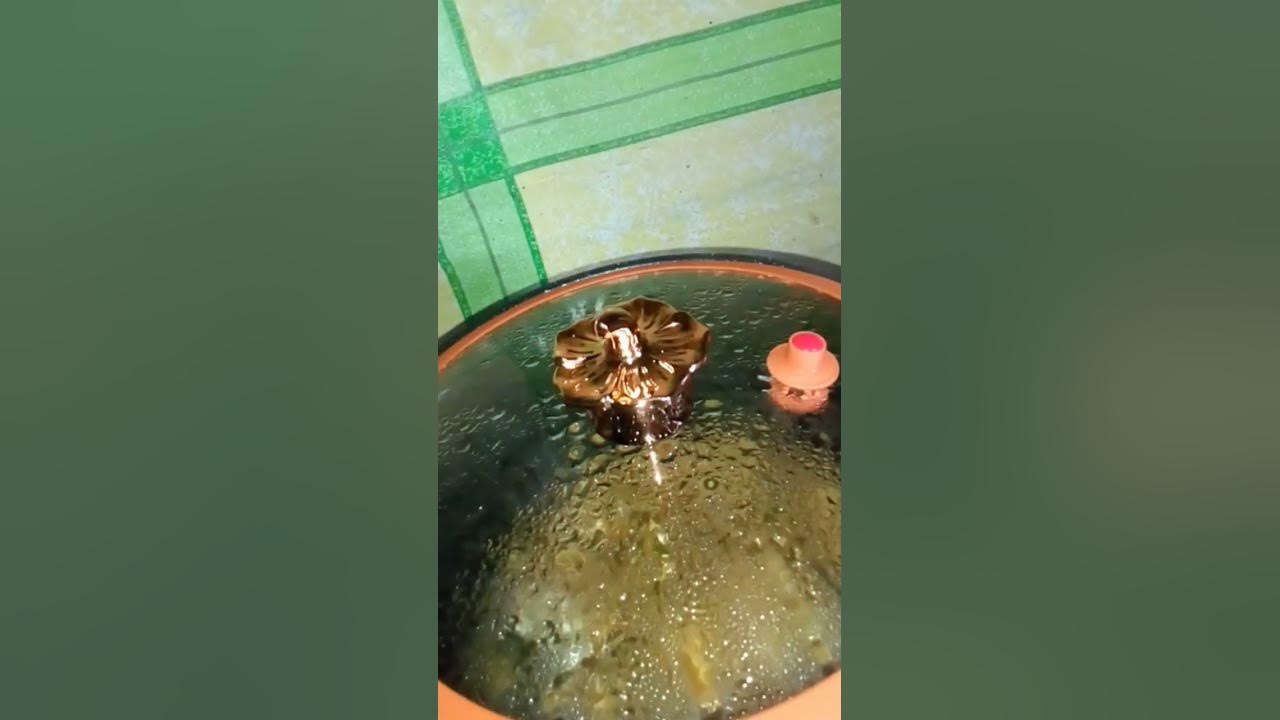 Cara masak pakai panci presto viral (Labu)