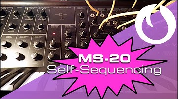 MS-20 Self-Sequencing (Late Night Tips)