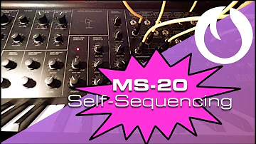 MS-20 Self-Sequencing (Late Night Tips)