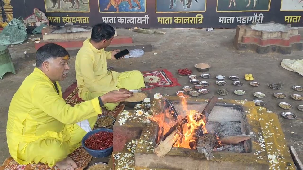 मां बगलामुखी लाल मिर्ची हवन | बगलामुखी मंदिर नलखेड़ा | उज्जैन के पास नलखेड़ा 