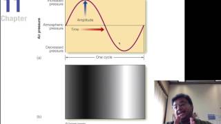 Sensation and Perception, Chapter 11 Part 1
