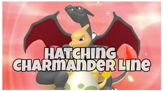 Charmander Line Normal, Shiny Ultra Shiny Hatching Every Pokemon Pokemon Sword Shield