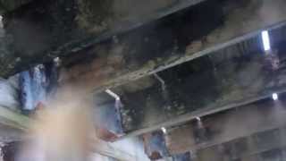 Seawall video Inspection North Miami Beach