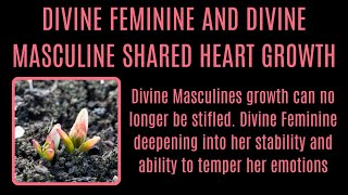 DIVINE MASCULINE Inevitable Growth DIVINE FEMININE Mastering Emotions  Shared Heart Space Restoring