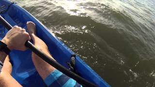 20150623 OCNJ Kayak Adventure