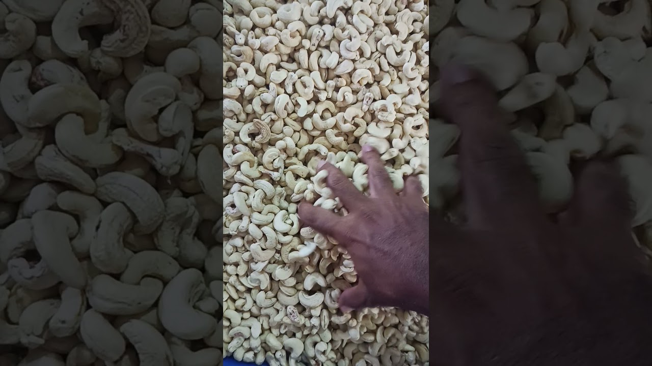 cashew nuts wholesale 600 kg minimum order 30 kgs
