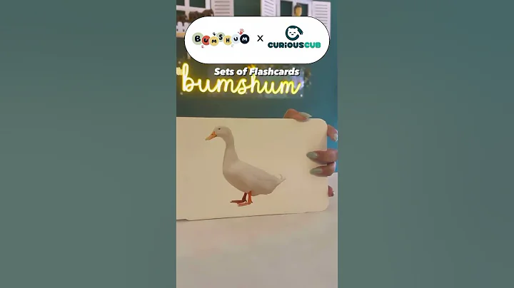 Curious Cub Montessori Kit