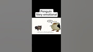 Thumbnail of Penguin (very emotional)😭😭😭 #penguin #wendaxgray #veryemotional