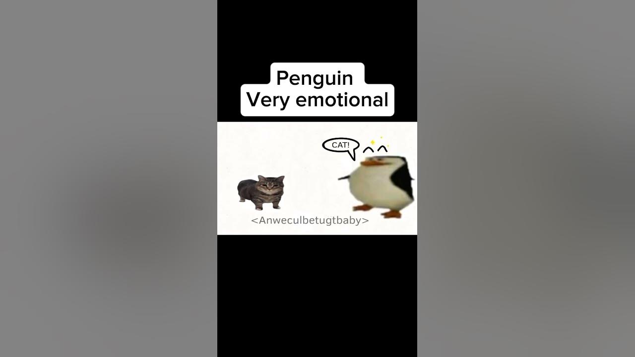 Penguin (very emotional)😭😭😭 #penguin #wendaxgray #veryemotional