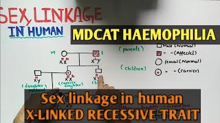 X linked recessive haemophilia |  NMDCAT 2021