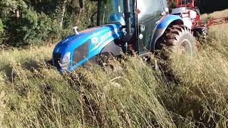 Dessecando Aveia Preta.