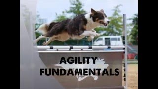 Agility fundamentals with Chelsea Marriner