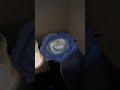 Romantic experiment student creates fluorescent flowers in china