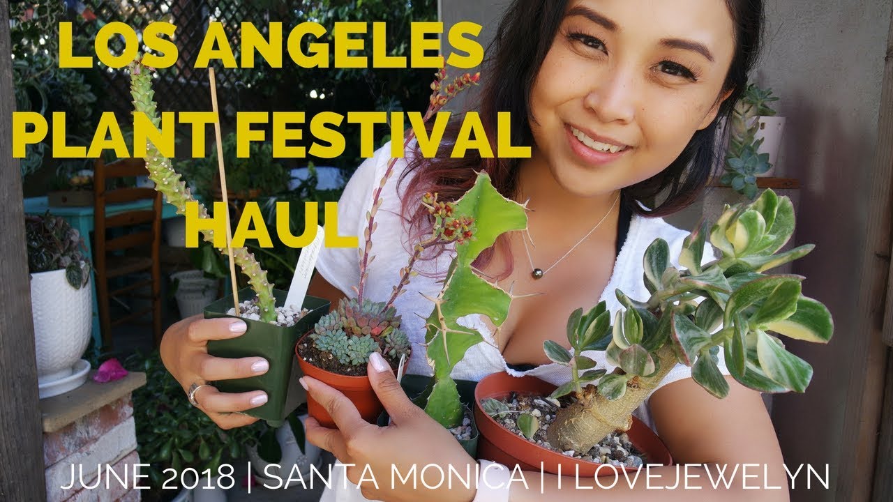 Los Angeles Plant Festival Haul June 2018 ILOVEJEWELYN YouTube