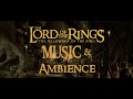 The Lord of the Rings - Caras Galadhon (Lothlórien) | Music &amp; Ambience