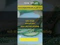 معنى كلمة القثاء في اوائل سورة البقرة