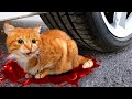 Experiment Car vs Real Fake Angry Cat & Coca-Cola Ballons | Crushing Crunchy & Soft Things by Car