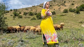 Morning to evening routine _ Nomadic life in the mountains of iran