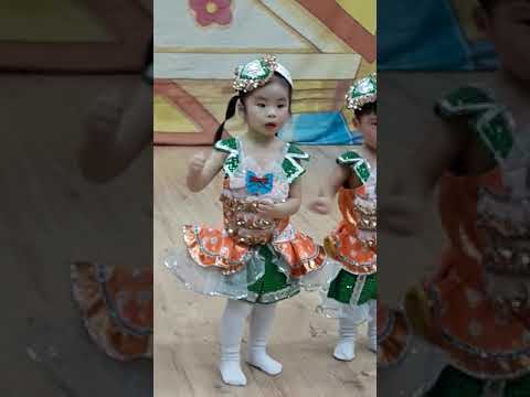 D 984 재롱잔치😍