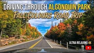 Fall in Algonquin Park 🍁| Autumn Leaf Peeping Scenic Drive (Relaxing 4K)