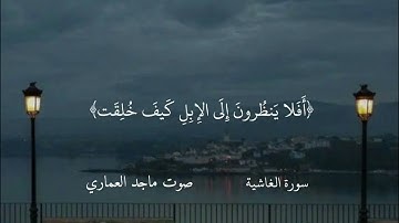 سورة الغاشية | بصوت ماجد العماري