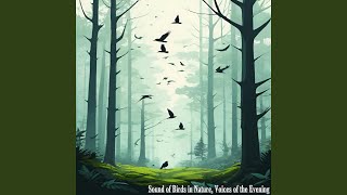 Sound of Birds in Nature, Songs by the River