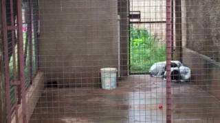 VID 20160518 WA0102 1