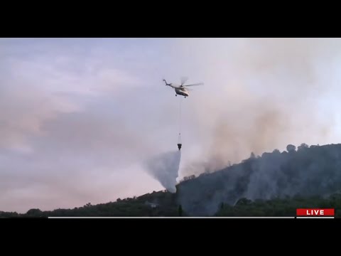 Δήμαρχος Αρτέμιδας στο