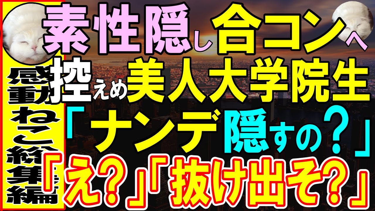 【感動する話】素性隠し数合わせで友人の合コンへ参加すると、隣の席にいる初対面の女子大生「どうして嘘つくの？」突然囁かれた。俺は全く思い出せずにいると…実は彼女の正体は…【いい話・泣ける話・朗読】