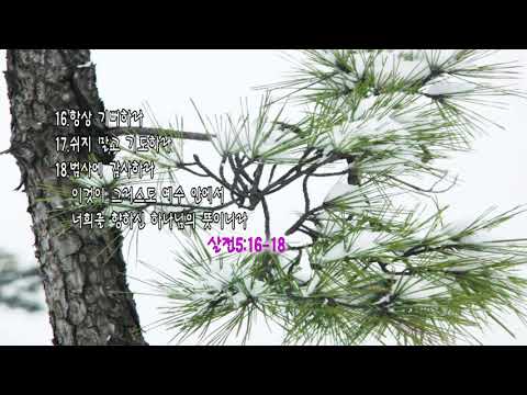 날 구원하신 주 감사 찬양 최명자 3회연속