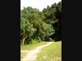 Pulau Besar