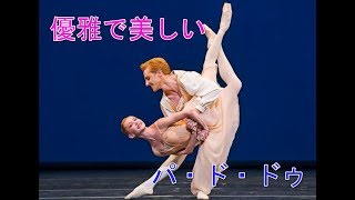 バレエ優雅なリフト美しすぎるダンスチャイコフスキーパドドゥ