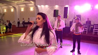 Video thumbnail of "Taraful Busuioc Chisinau"