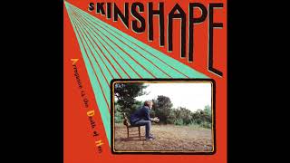 Miniatura del video "Skinshape - Losing My Mind"