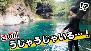 スプーンで川底の魚を狙いまくった結果…【渓流釣り】