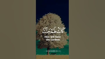 #تلاوة_هادئة #اكسبلور #المصحف #لايك #الرحمن قران كريم