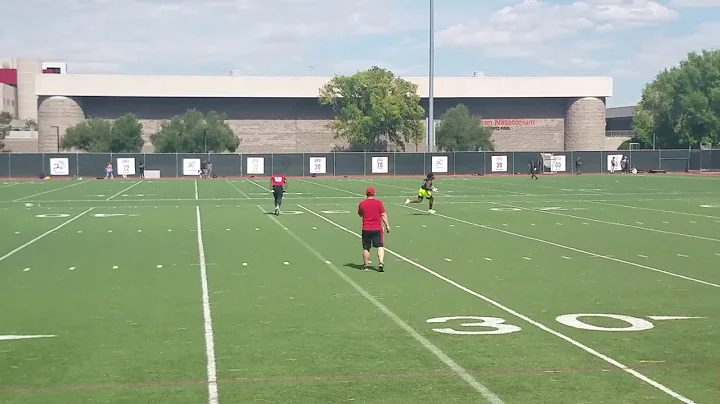 Julian Hayes Running Back (blk #63) KR/WR CFL Work...