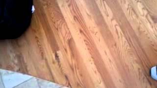 Medicare Palmetto absolutely no help