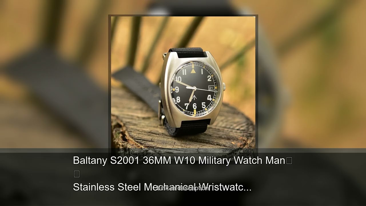 Baltany S2001 36MM W10 Military Watch Man Stainless Steel Mechanical Wristwatches Waterproof Vi