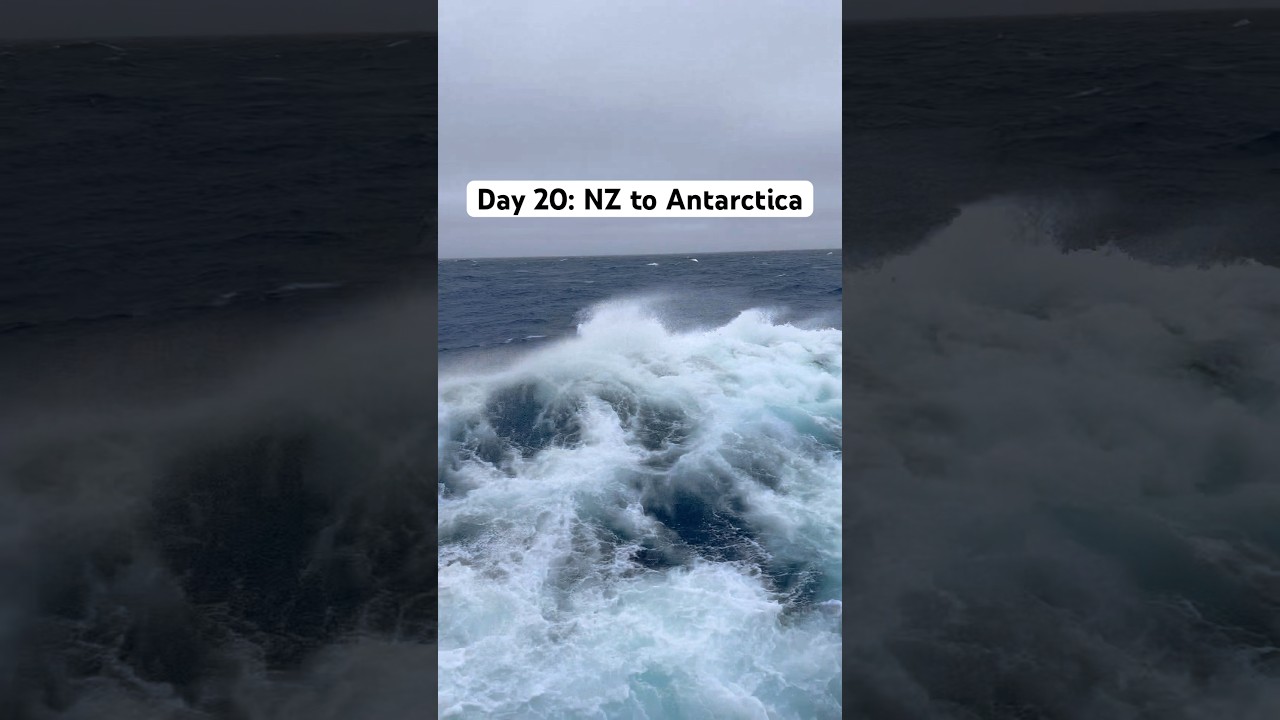 I travelled from NZ to Antarctica on a ship