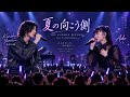 🎆🎤 米津玄師 × Ado|夏の向こう側 ― 言えなかった、あの夏に ― 💔🌸別タイトル案:🌙 米津玄師 × Ado|忘れられない夏、伝えられなかった恋 🎆💔