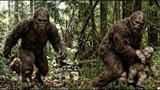 NEW Bigfoot Footage SO CLEAR It'll Make YOU Believe!
