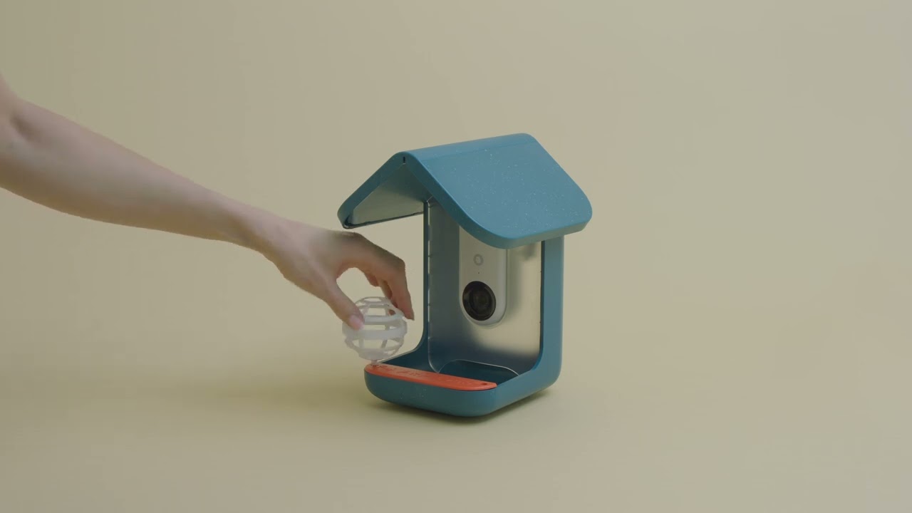 How to Set Up Bird Buddy