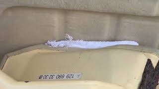 IMG 80791